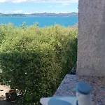 Zivkovic Ζαντάρ
